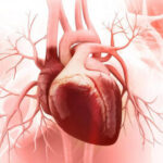 تست‌های تشخیص بیماری‌های قلبی